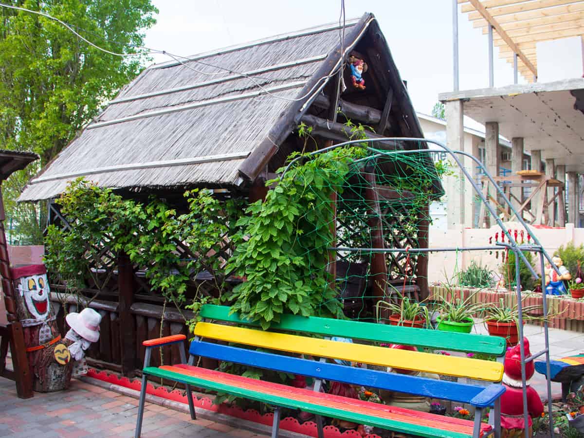Декоротивный сад в Кафе У Бабушек в Коблево