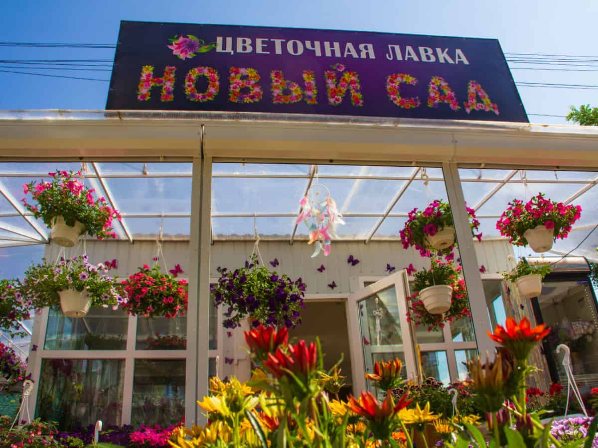 Цветочная лавка Новый Сад в Коблево