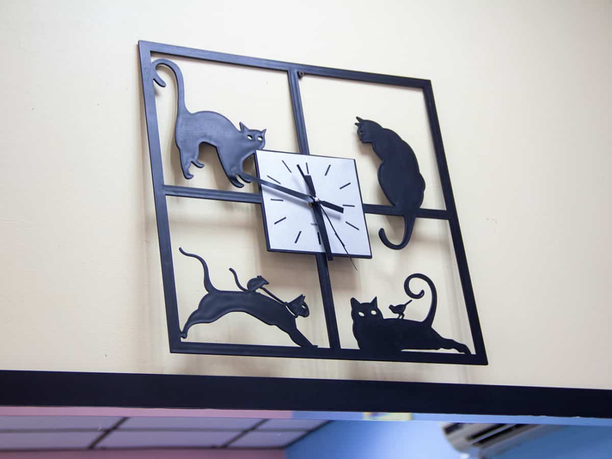 Коблево интересные часы котики в салоне
