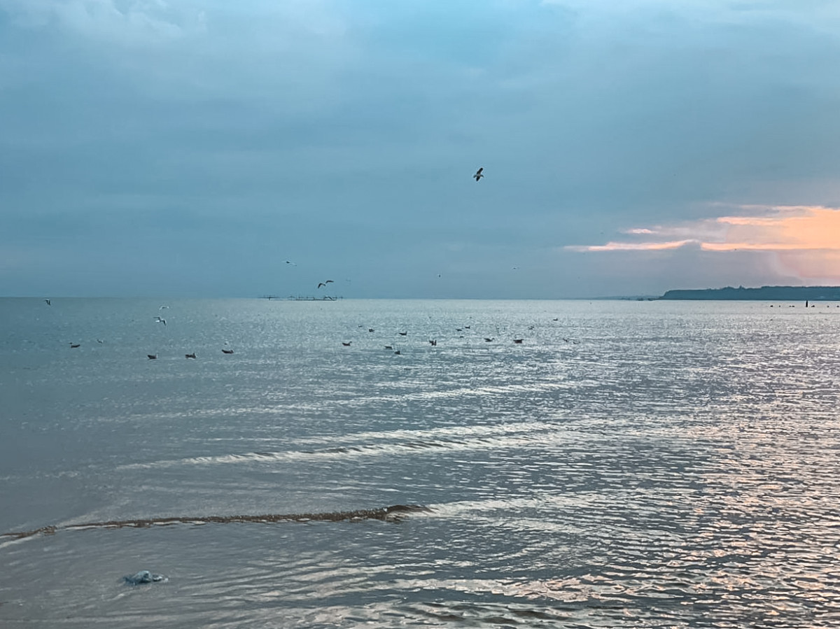 Море и чайки фото Коблево