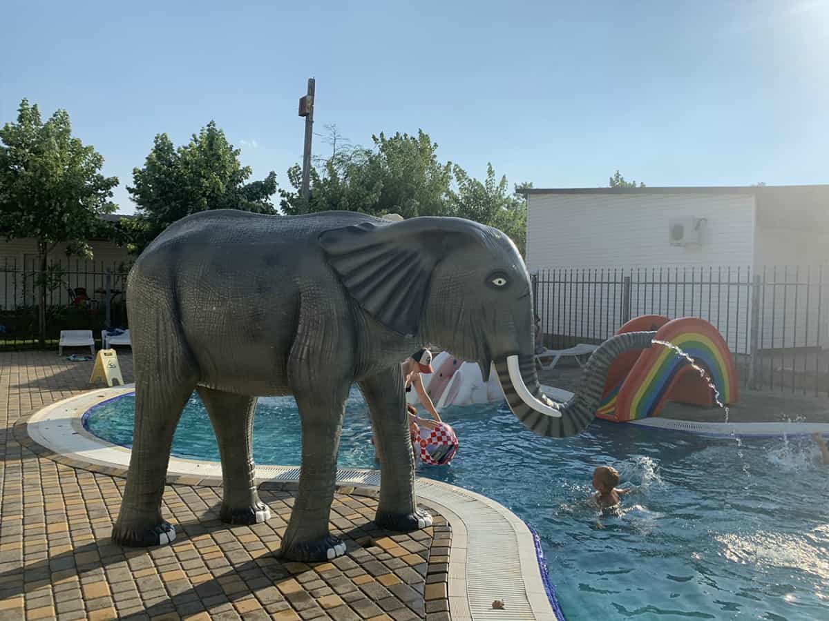 слон в аквапарке Орбита Коблево