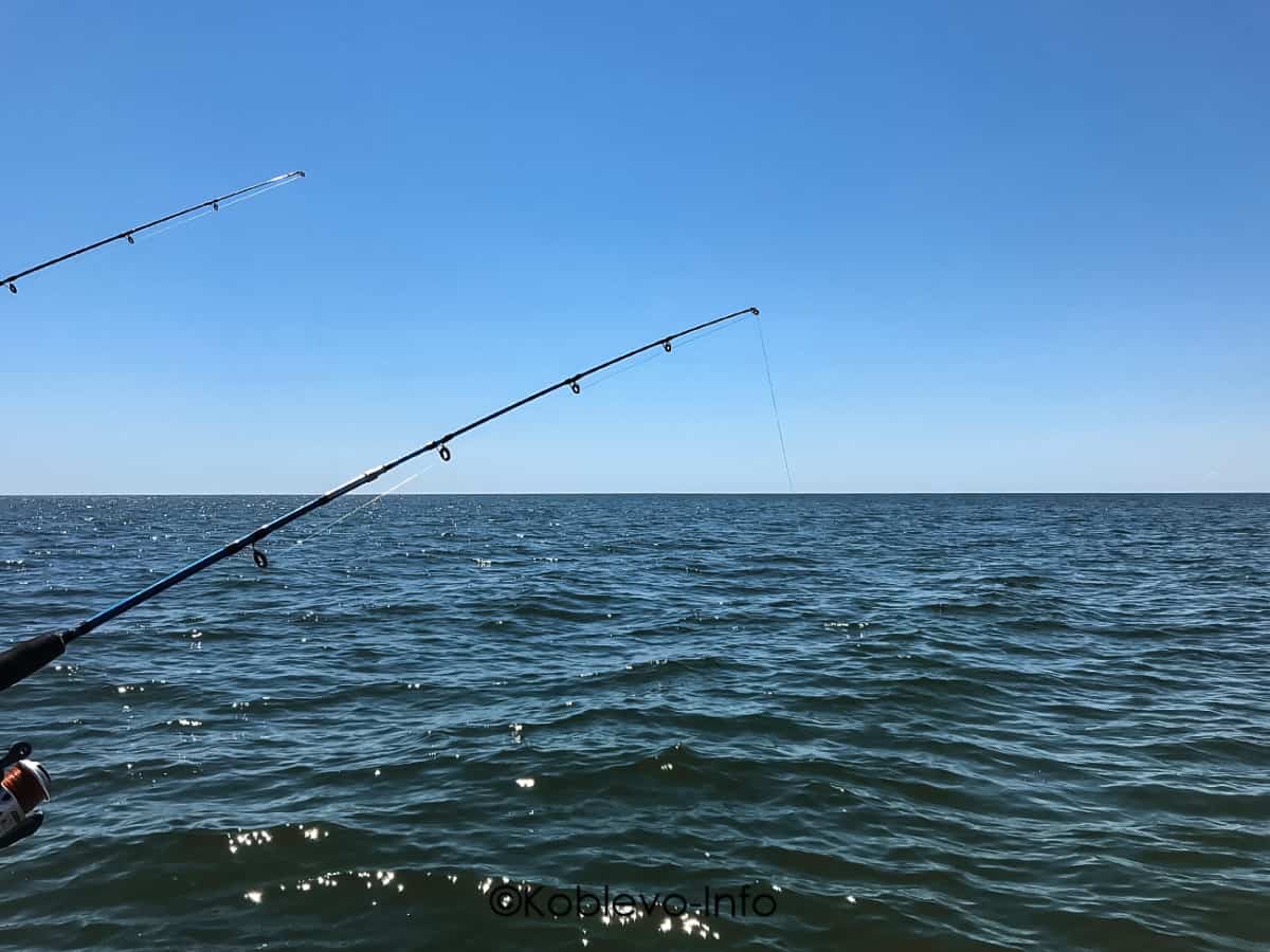 Рыбалка в море в Коблево