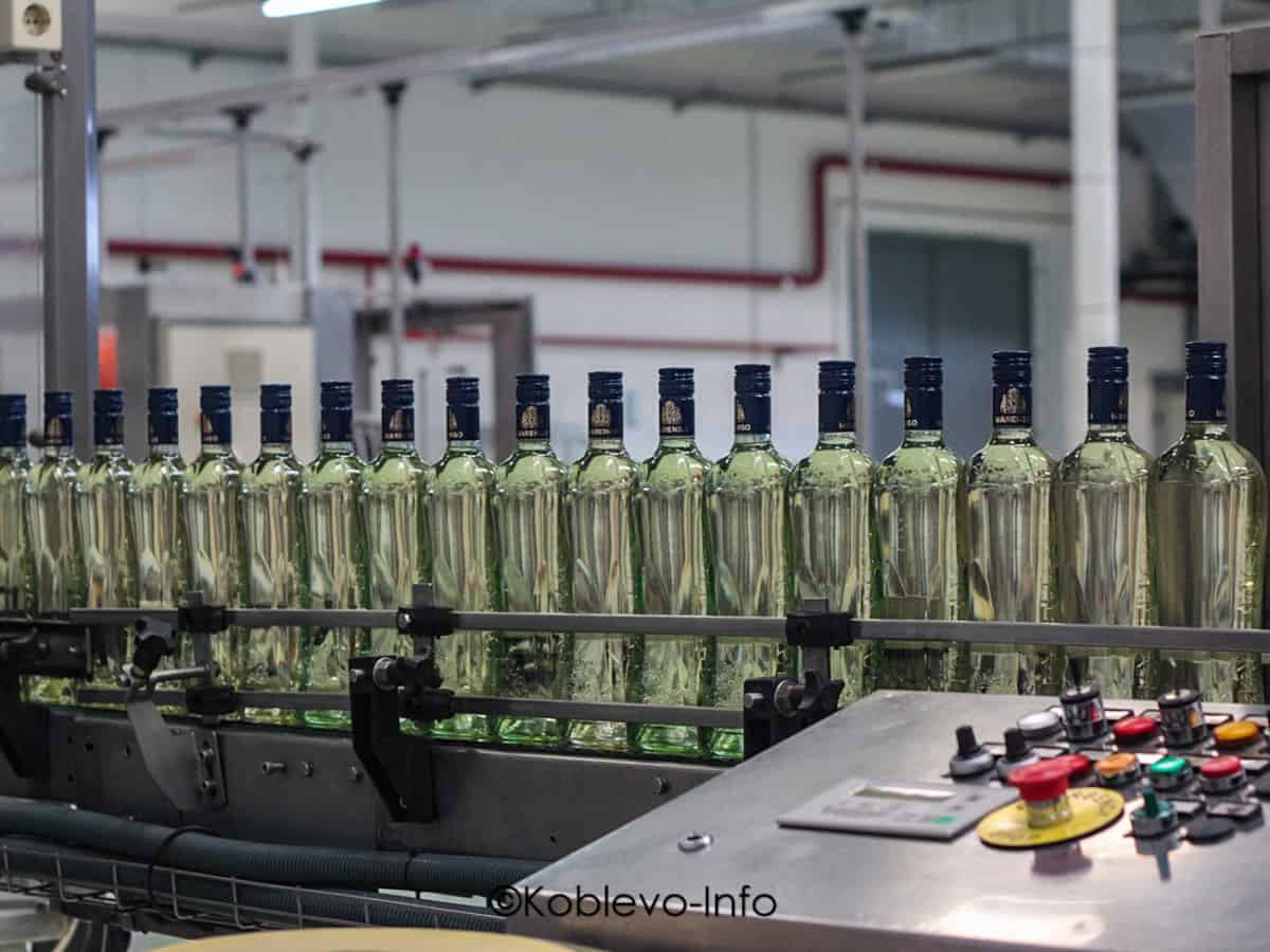 Вино на заводе идет по конвейеру в Коблево