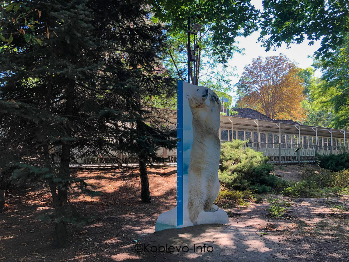 Вольер для медведей в Николаевском зоопарке