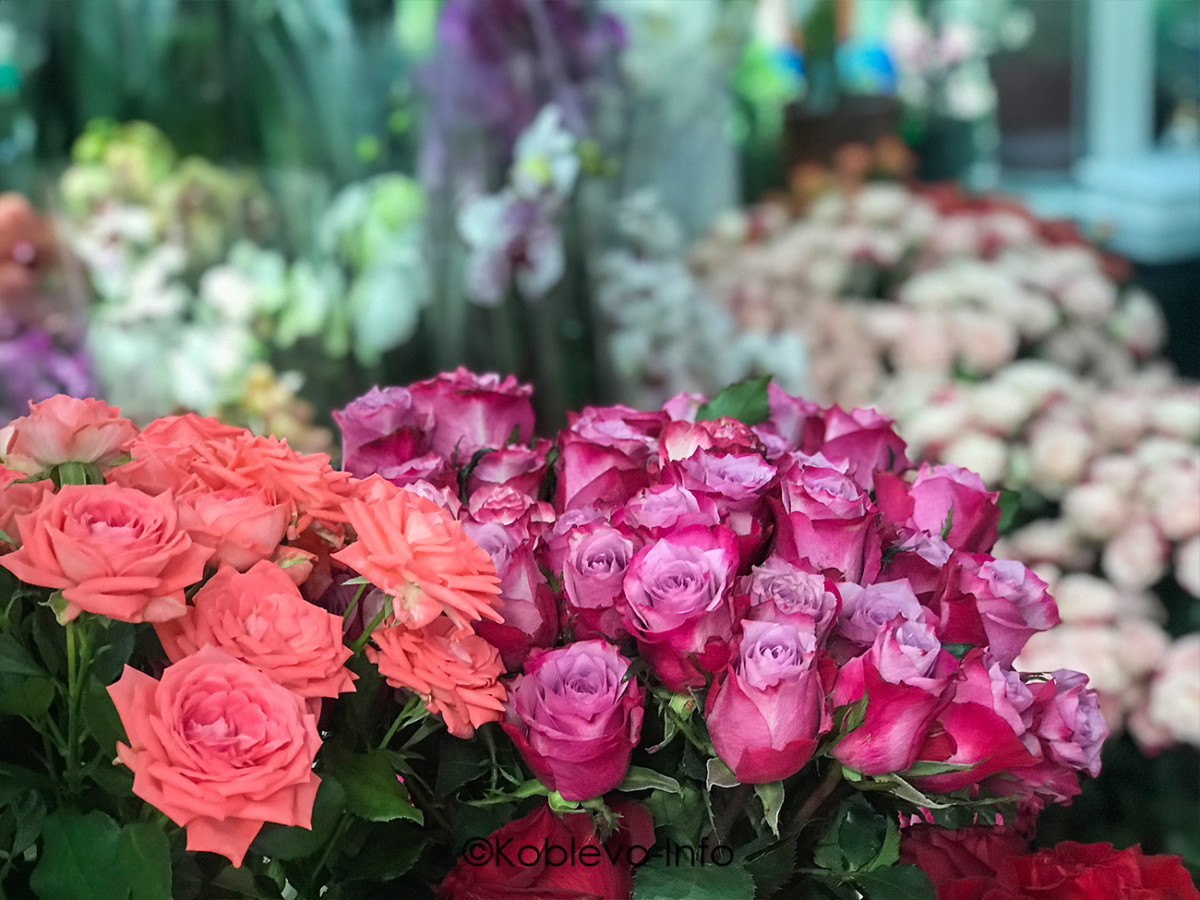 Ассортимент цветов в магазине Новый сад в Коблево