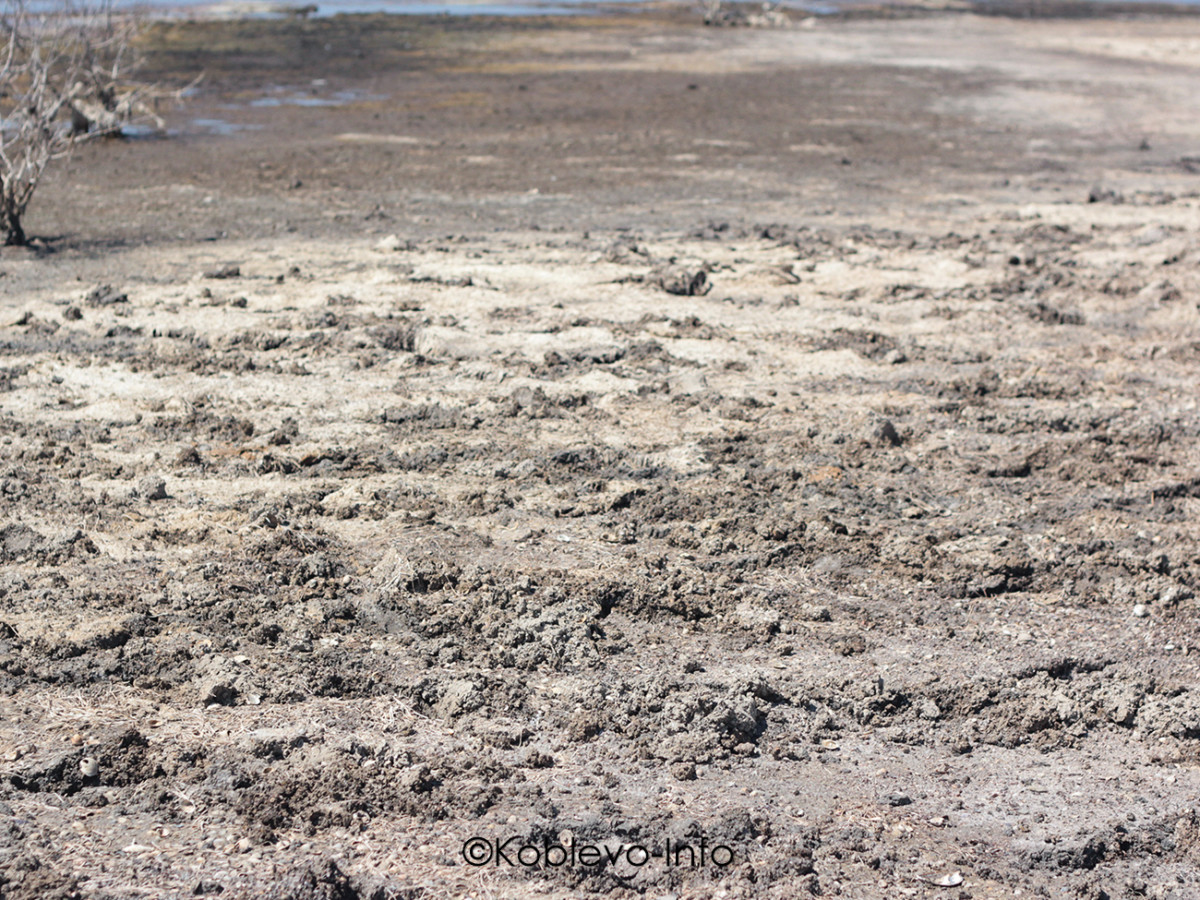 Полезные вещества грязи на Тилигульском лимане