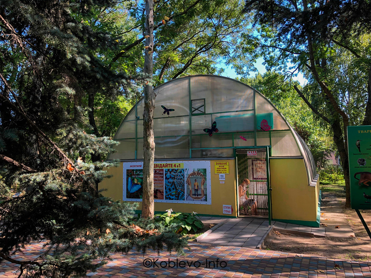 Посетить выставку насекомых в Николаевском зоопарке летом