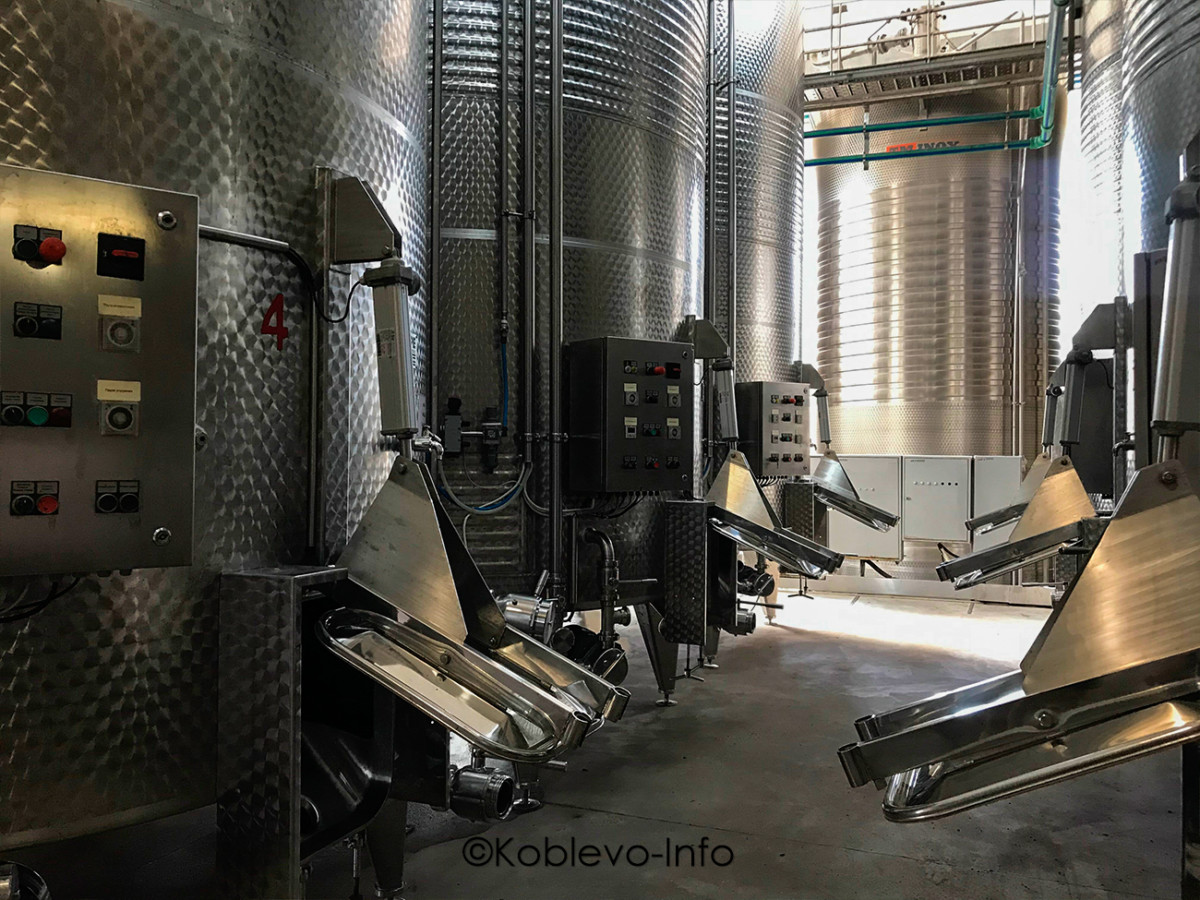 Процесс изготовления вина на заводе Коблево