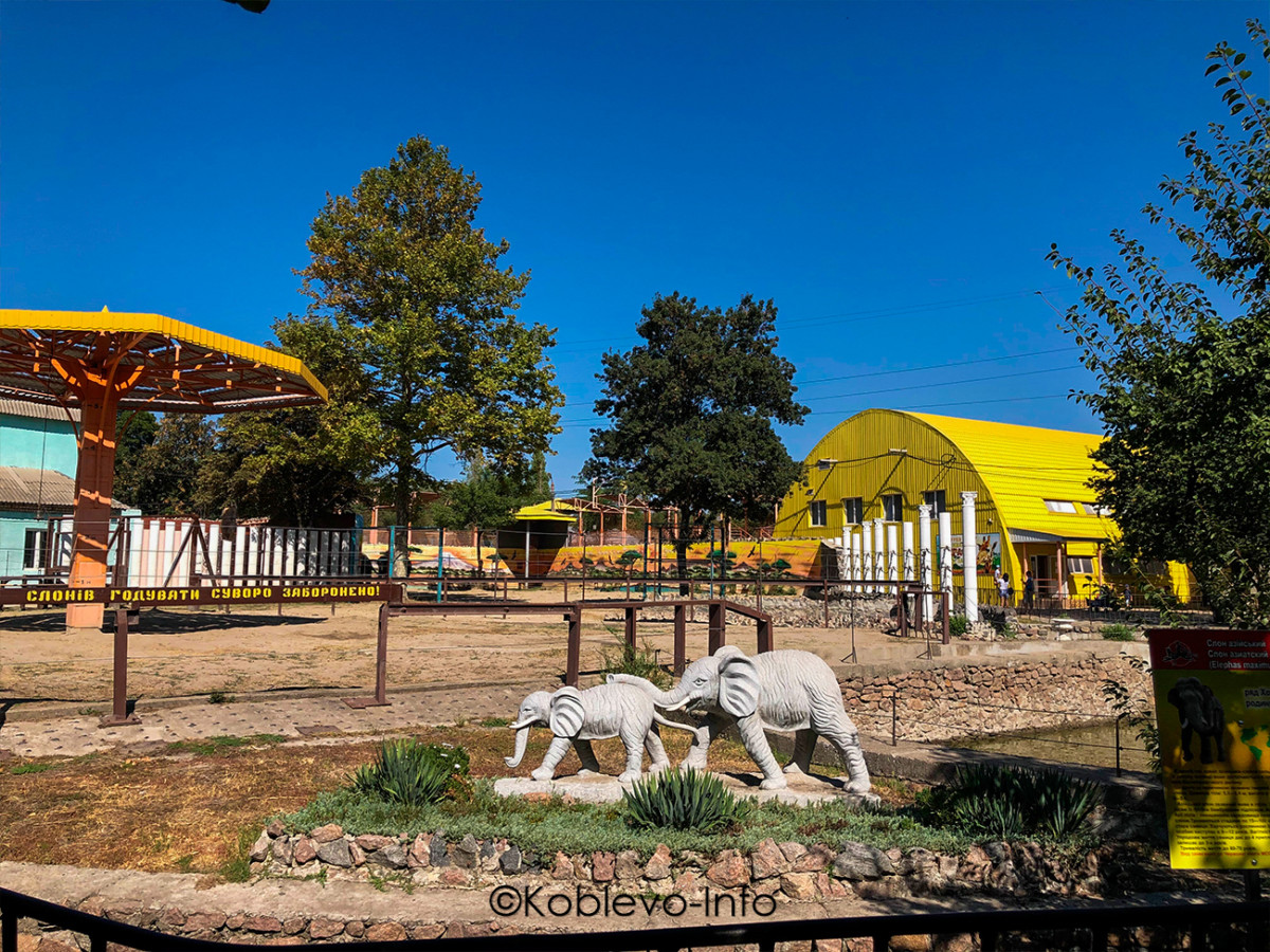 Вольер для слонов в Николаевском зоопарке