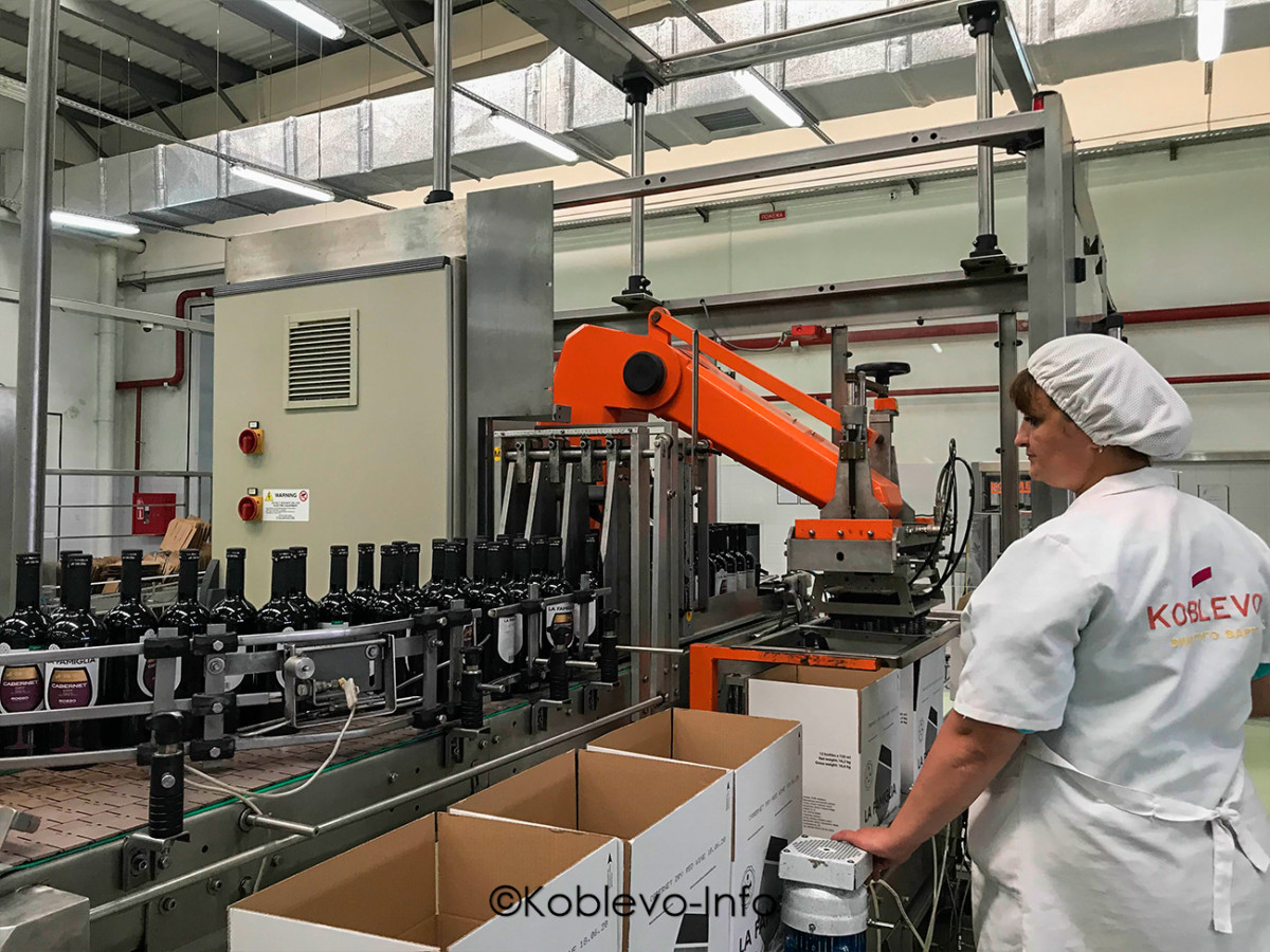 Процесс упаковки вина на заводе Коблево