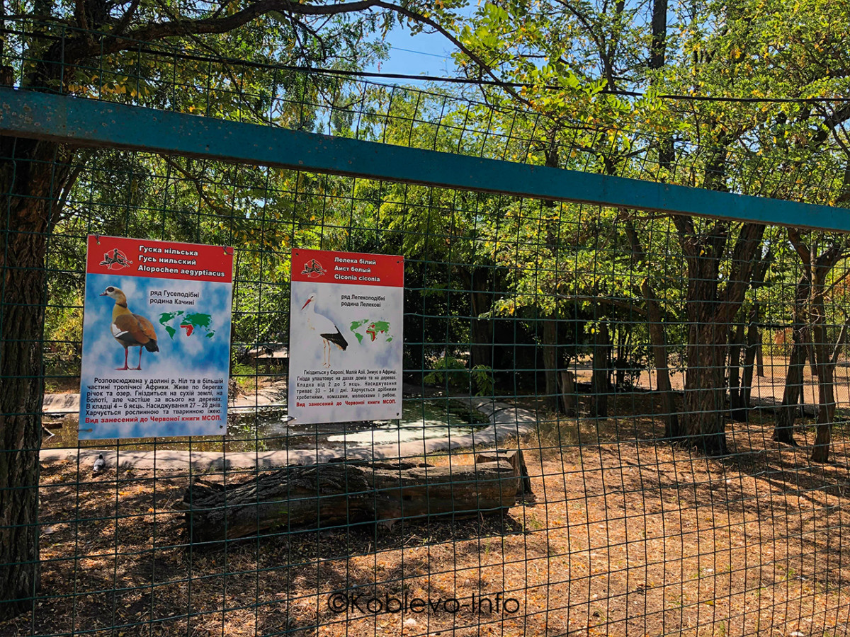 Какие птицы есть в зоопарке Николаева