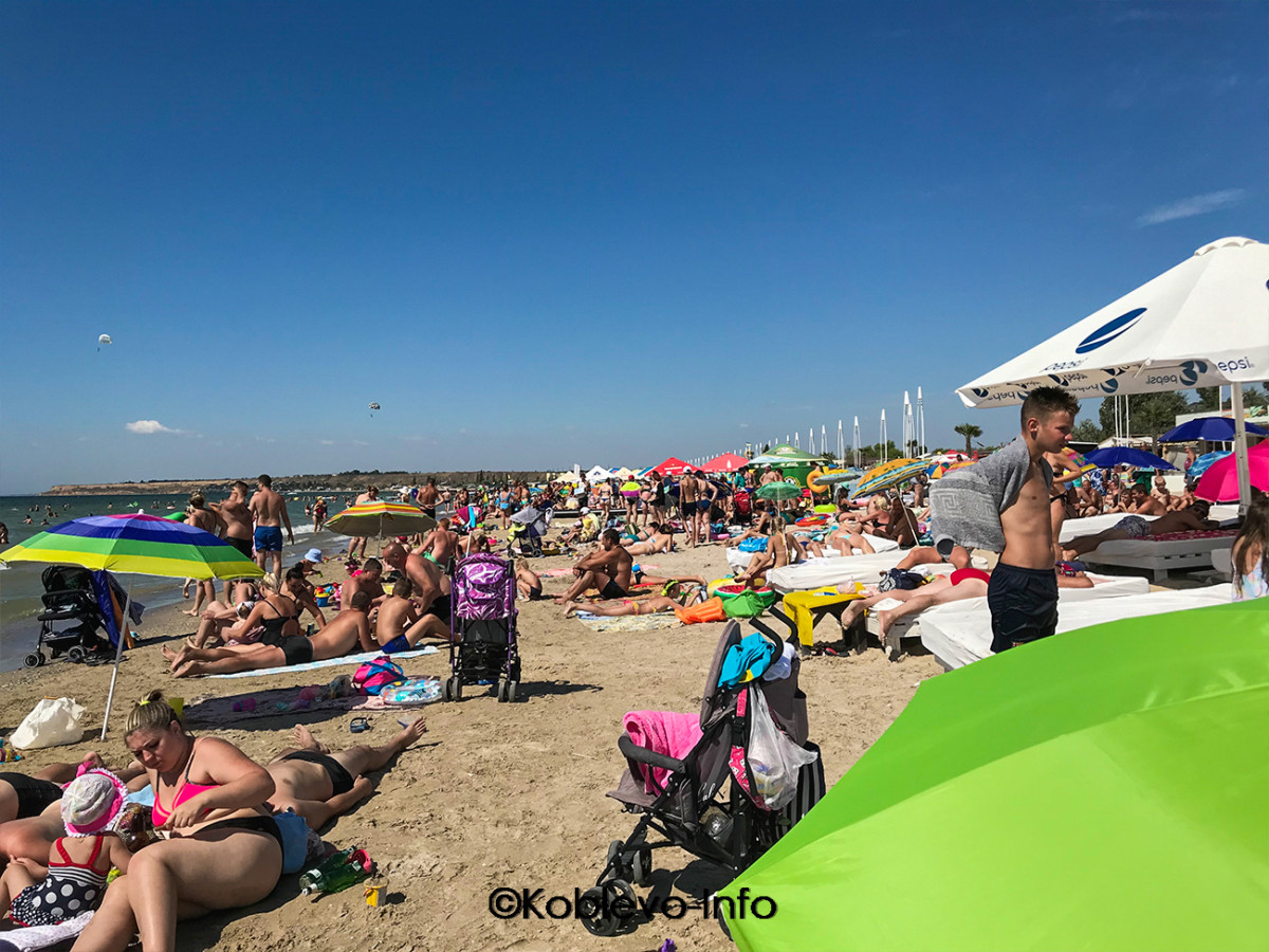 Отдыхающие на пляже летом в Коблево
