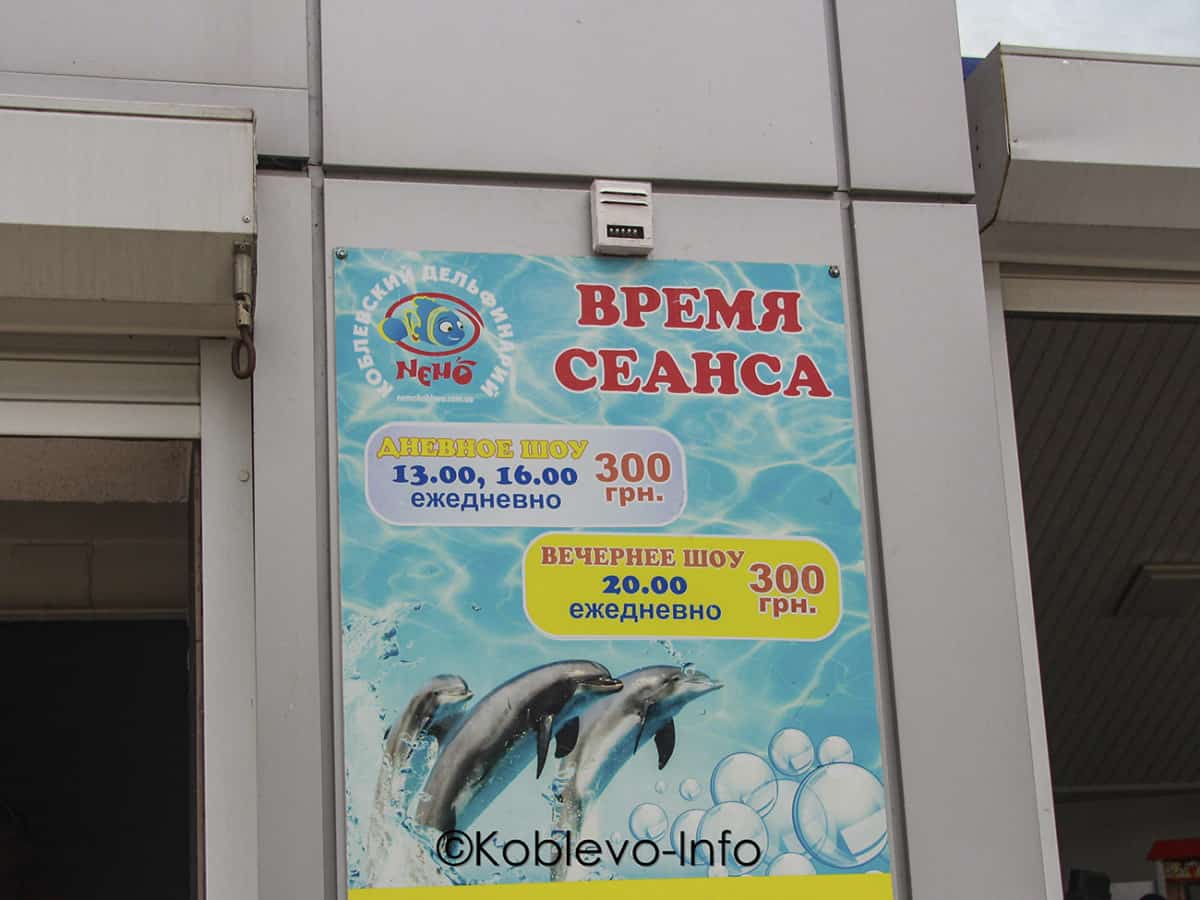 Посетить дельфинарий Немо в Коблево