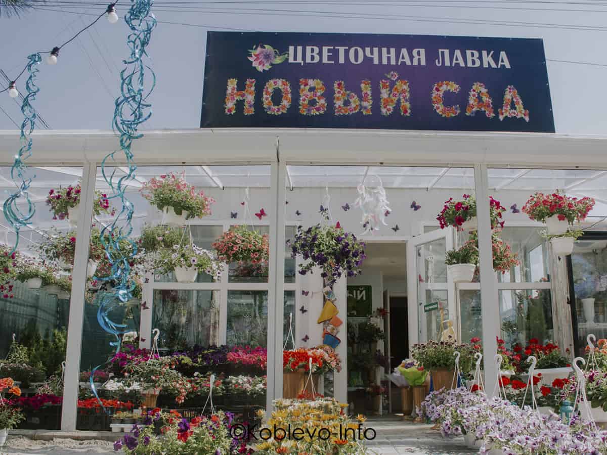 Доставка цветов на праздник в Коблево