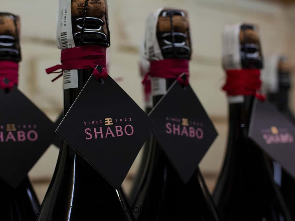 Купить игристые вина Шабо
