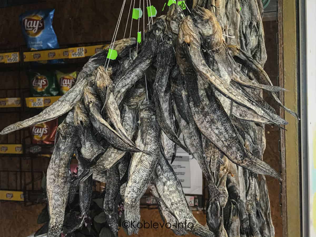 Ассортимент сушеной рыбы в Ларьке с морепродуктами на Фестивальной аллее возле луна-парка в Коблево