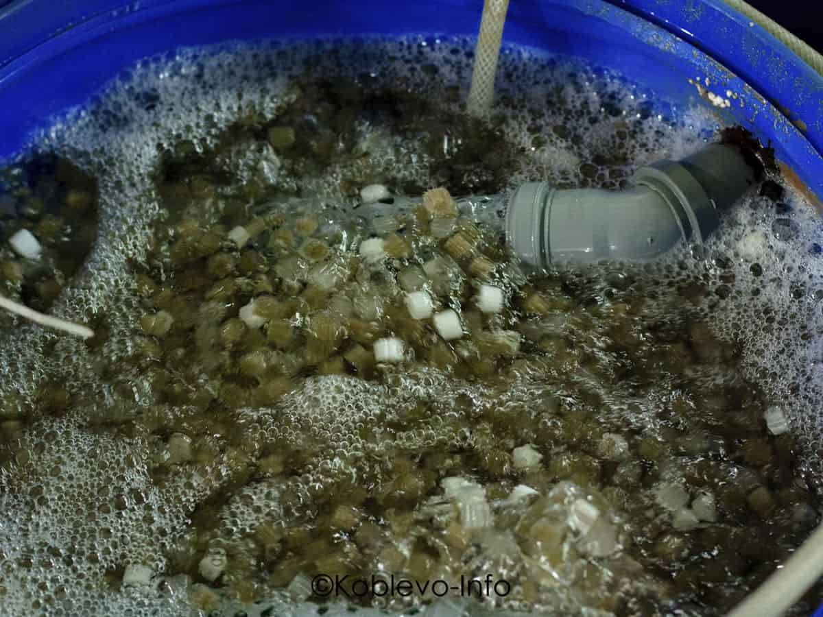 система биофильтрации для аквариумов с креветками фото