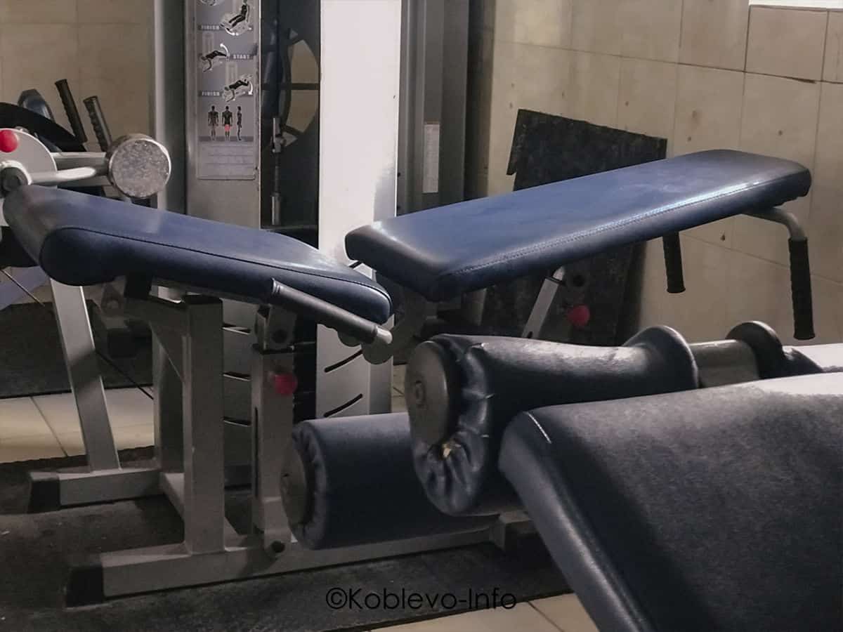 Упражнения в тренажерном зале в Коблево