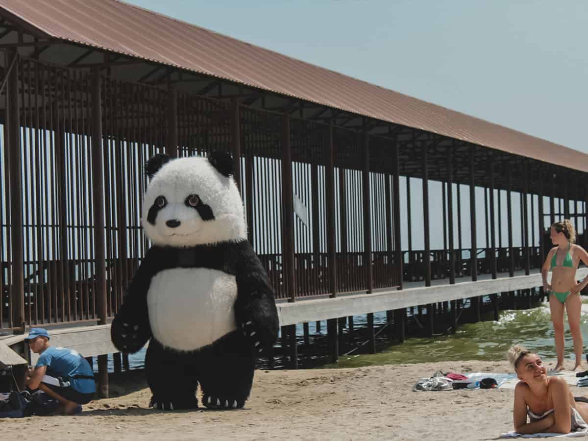 панда на пляже Коблево фото