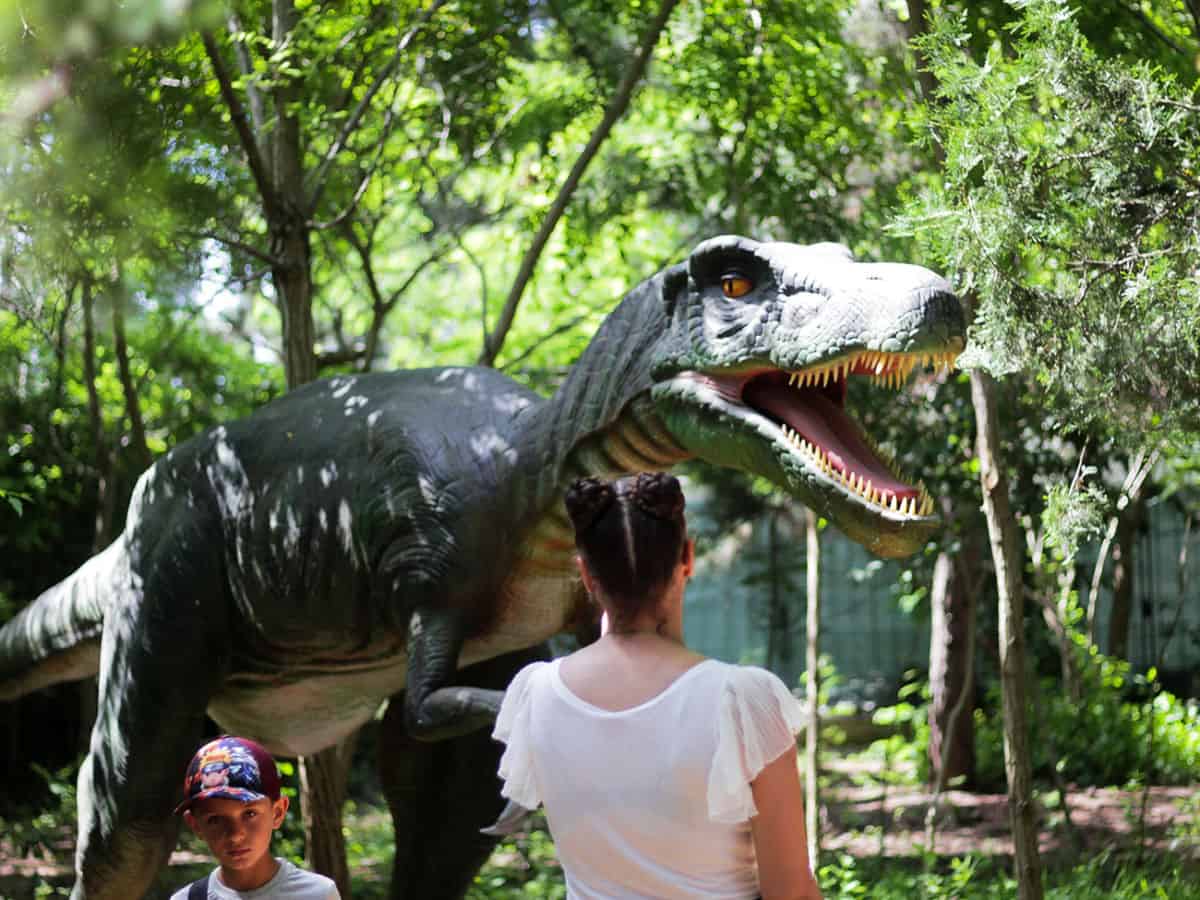 парк динозавров коблево фото парка