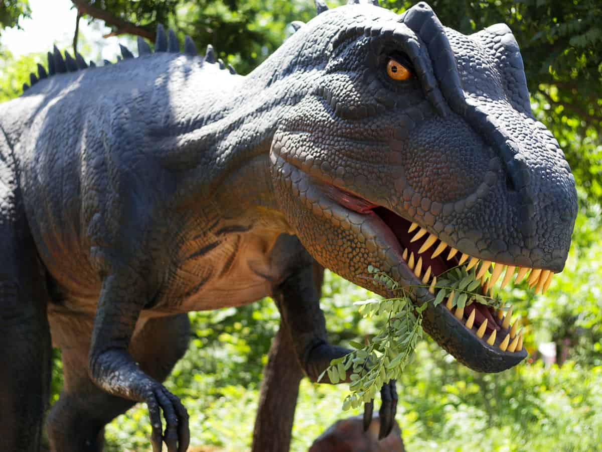 дино парк в коблево фото тиранозавра