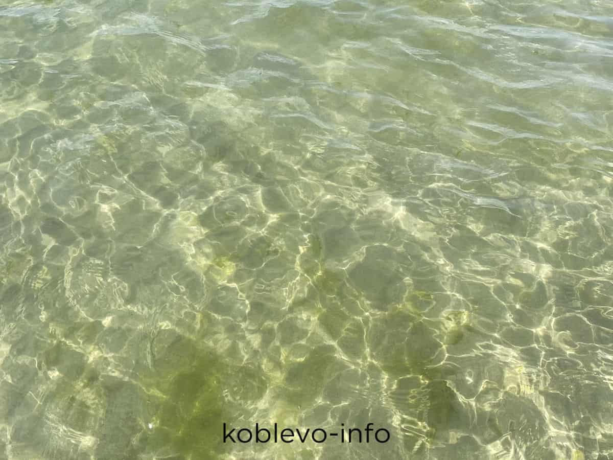прозрачное море в Коблево сегодня 22.08.2021