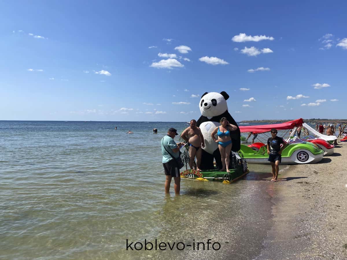 панда на море в Коблево