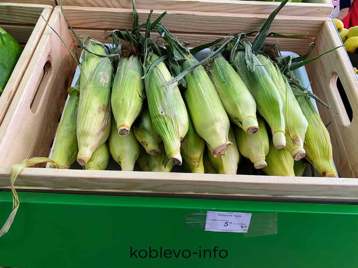 где купить кукурузу в Коблево