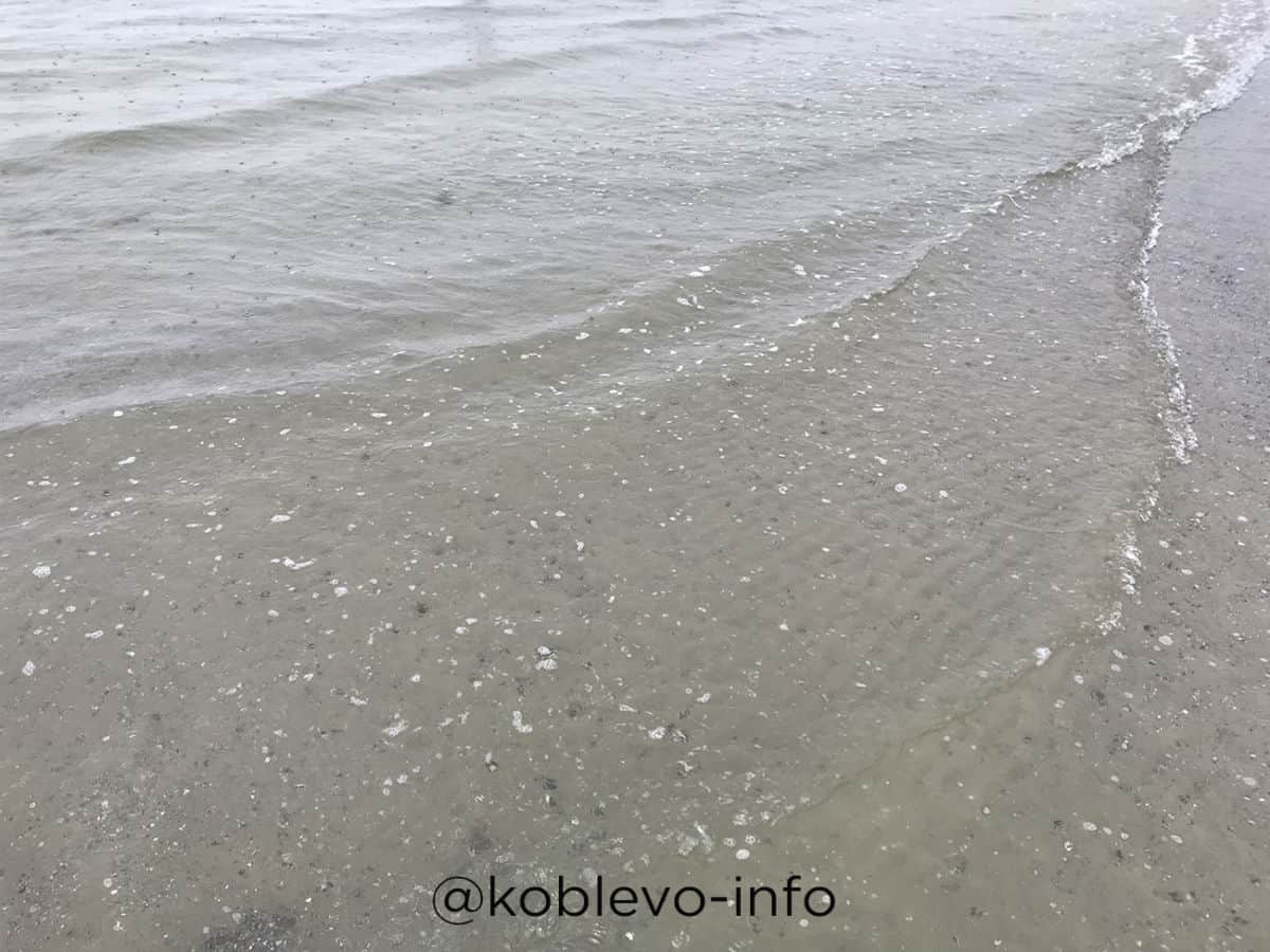 чистое море в Коблево сегодня