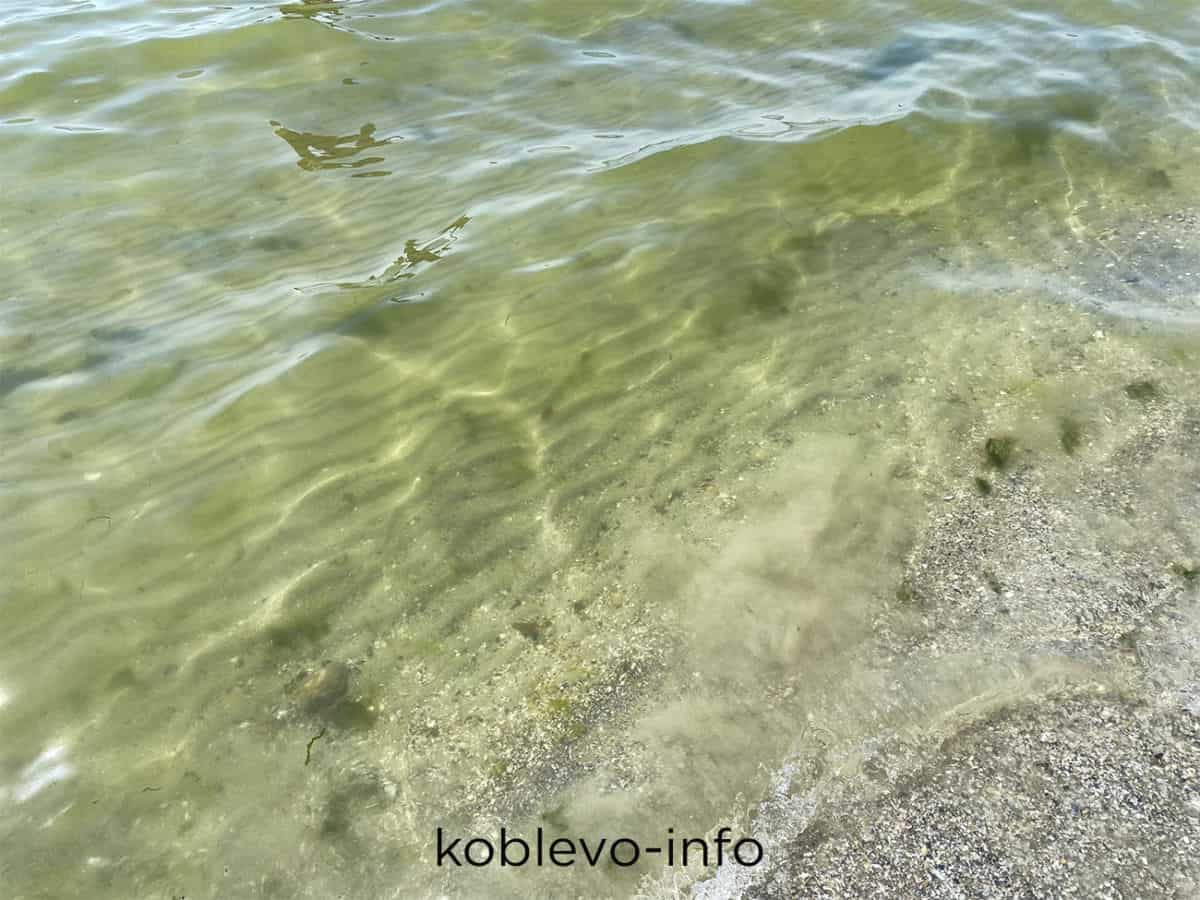 Чистое море и пляжи в Коблево фото