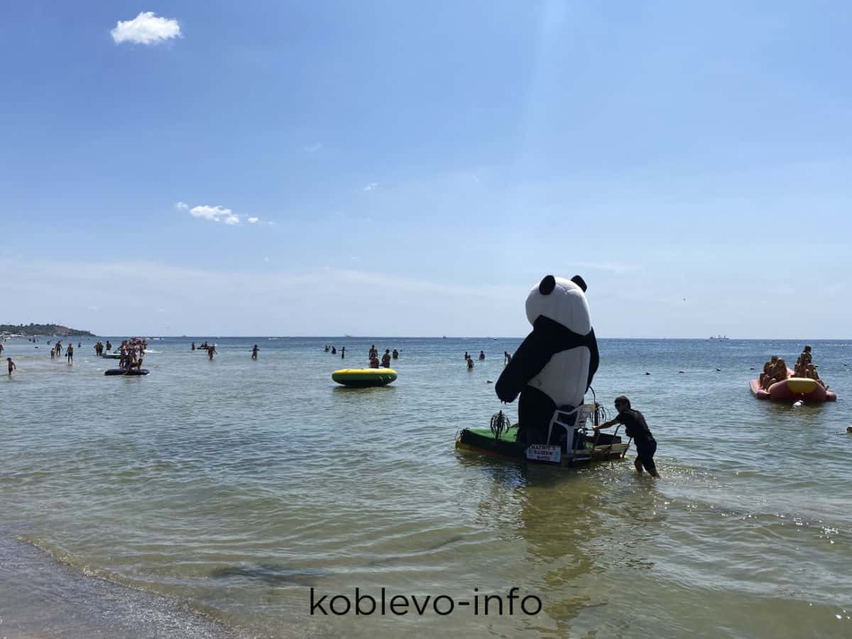 панда на Черном море в Коблево фото