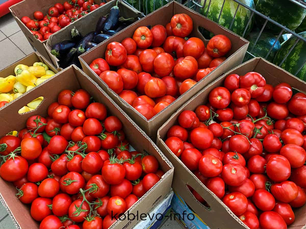 где в Коблево купить помидоры недорого