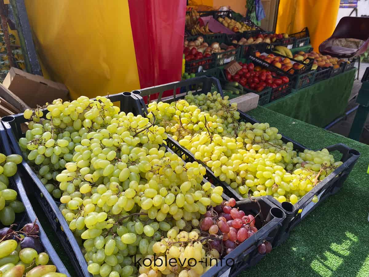 Где купить виноград в Коблево сегодня 30.08.2021
