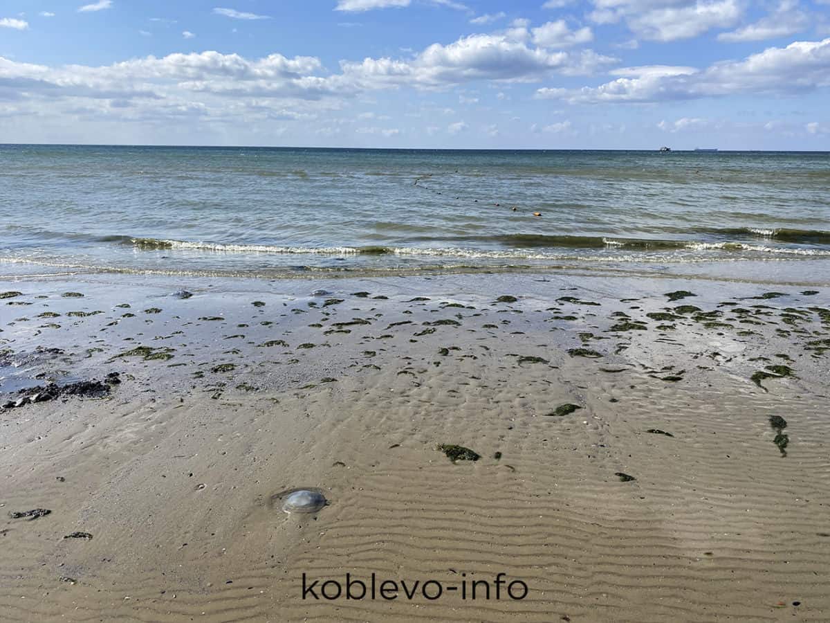 Фото пляжа и моря в Коблево